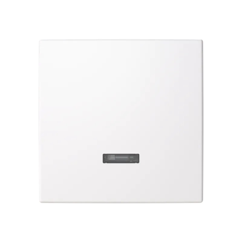 Centrumplatta Erbjudandepris